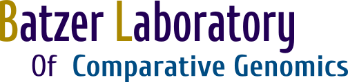 Batzer Logo